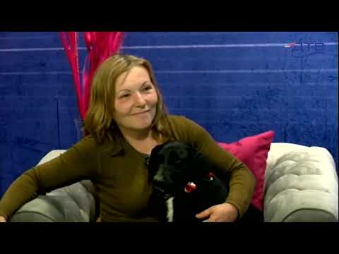 Dunavsko popodne 13.5 -  gosti Udruženje za zaštitu životinja Dobra nada