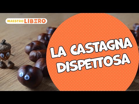 La Castagna dispettosa...con i pallini del Metodo Suoni e Silenzi®
