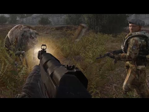 Blindside's Weapon Reanimation and Rebalance - "Military"