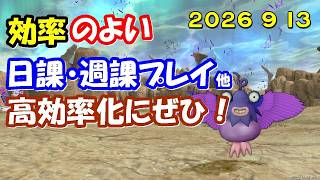 【ドラクエ10生配信No.336】効率のよい日課・週課など　2026.9.13