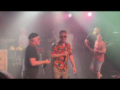 Fettes Brot - Jein - Live @ Markthalle, Hamburg - 08/2023 (Zweiter Abend)