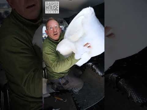 DODO INSULATE YOUR VAN IN 60 SECONDS #shorts
