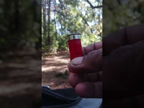 Charles Daly AR 12 Gauge Gun review!