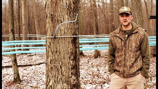 Brantview Farms Maple Tour - How to Make Maple Syrup - Pennsylvania Maple Syrup Farm Somerset County