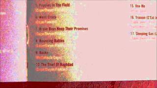 The Teardrop Exoplodes - Went Crazy