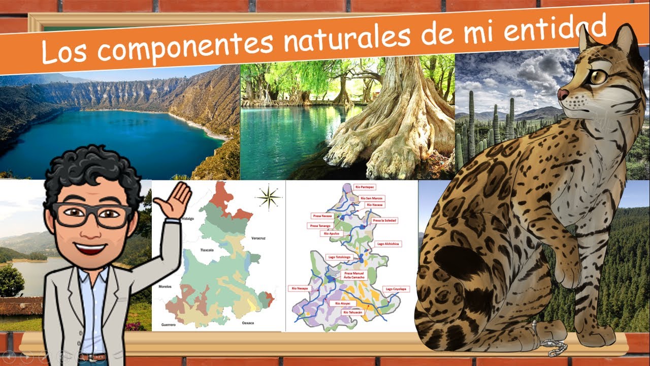 Watch Entidad donde vivo PUEBLA (3) Los componentes naturales de mi entidad 3° Primaria Now Entidad donde vivo PUEBLA (3) Los componentes naturales de mi entidad 3° Primaria