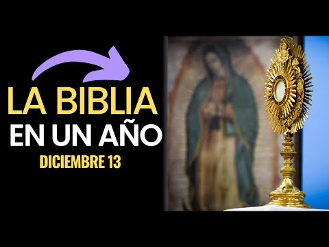Siguiendo a Jesús a través de la Biblia Católica en un año | Día 347