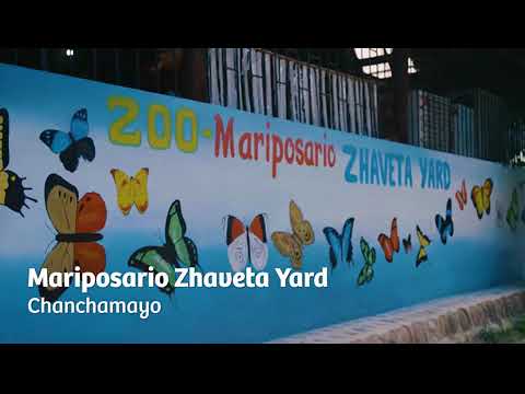 Junín: donde el arte se hace paisaje