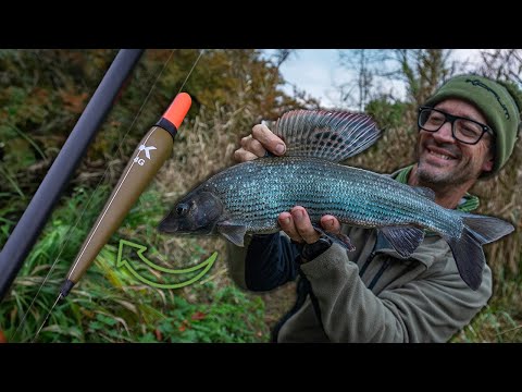 Big Grayling Hunt - River Frome