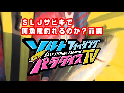 ＳＬＪサビキで何魚種釣れるのか？前編（ソルパラTV・第55回2021年10月14日放送）
