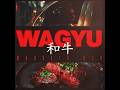 MAUVAIS  DJO WAGYU ( instrumental )