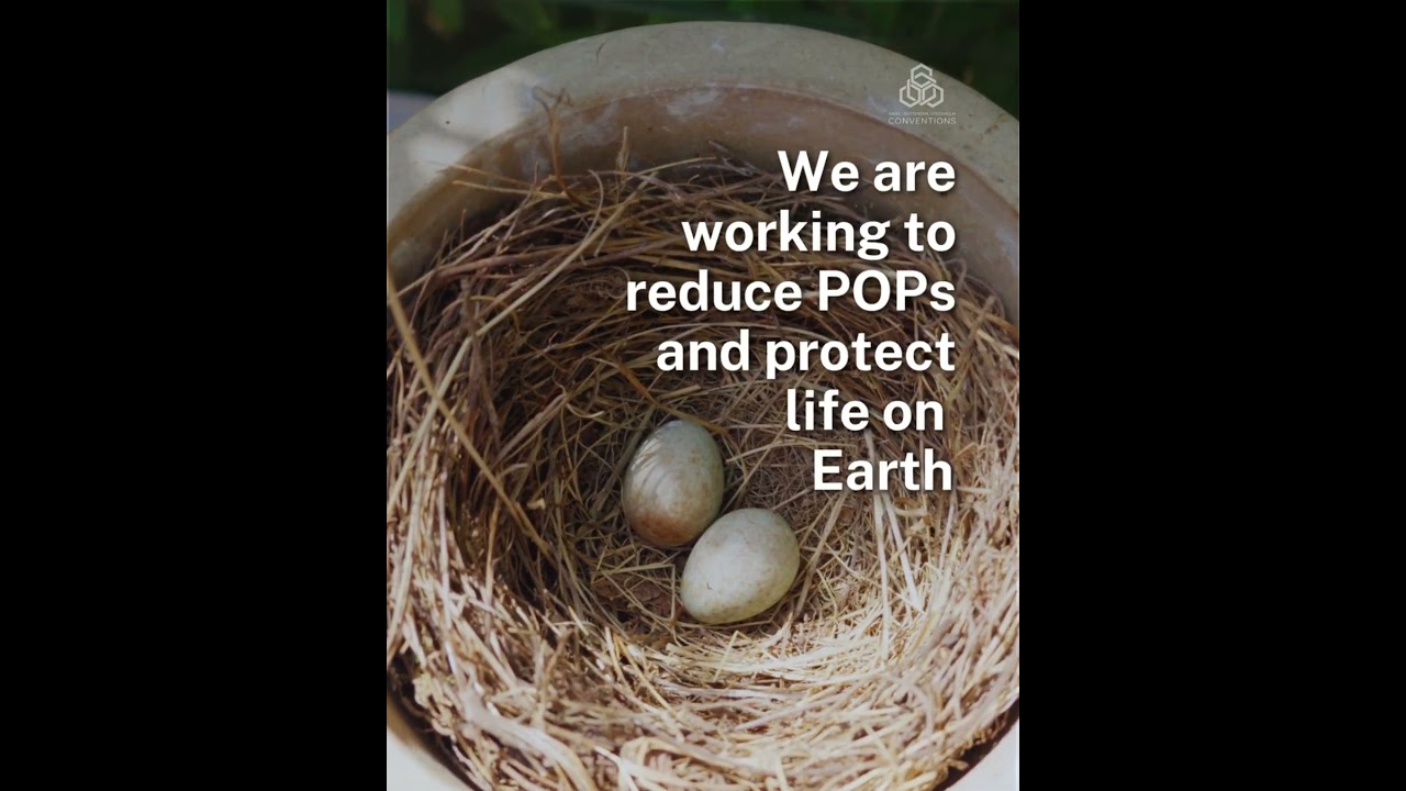 World Migratory Birds Day 2025 #brsconventions