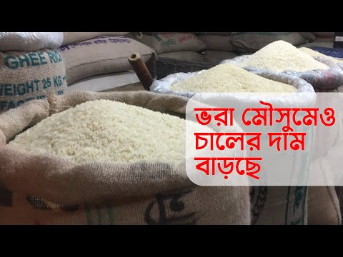 ভরা মৌসুমেও চালের দাম বাড়ছে