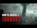 How To Survive A Tornado: Tips To Keep You Safe