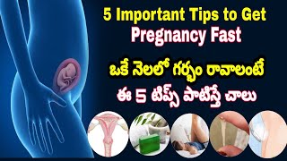 How to Get Pregnant Fast Naturally?  How to Get Pr