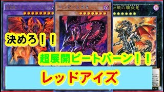 【遊戯王ＡＤＳ】レッドアイズ【YGOPRO】Red-Eyes【アルバトロス商会】