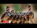 Ninnane Preetisalu New Whatsapp Status