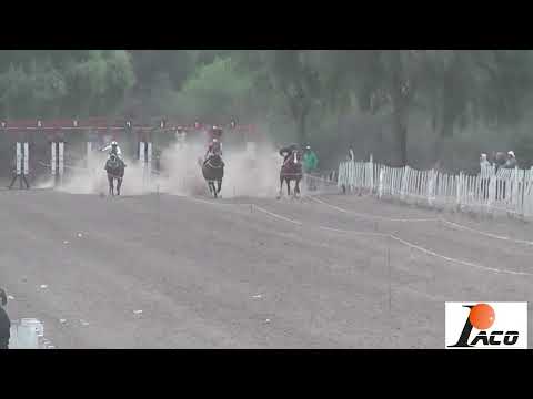 BUEN AMIGO HIPODROMO DON NICO BAÑADO DE SOTO 30 10 2022