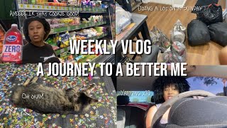 Grocery haul, puzzles, car chats: Weekly Vlog Pt. 61