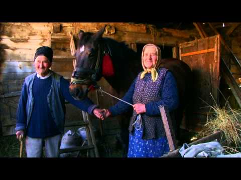 REPORTAJ  MAGURA IERII