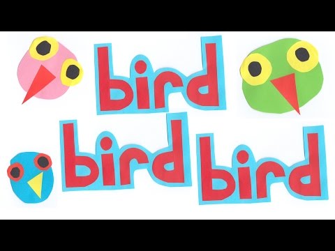Surfin Bird - Bird Is The Word - The Trashmen - Song Lyrics