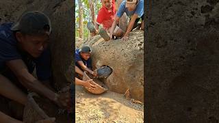Download lagu harus di tampani teduh bambu #shortvideo #fyp #animals mp3