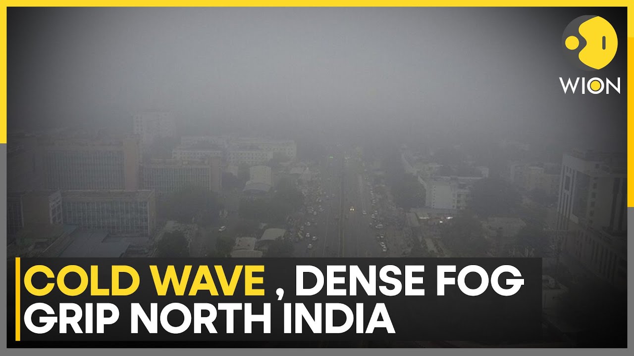 India: Dense Fog Returns to North India as Cold Wave Tightens Grip | WION NEWS
