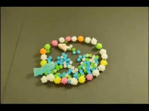 メディア情報学科 相模女子大学メディア情報学科2014オープンキャンパス：金魚脱走