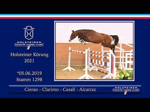 Holsteiner Körlot 2021 | Nr.  21 v. Cieran - Clarimo - Casall - Alcatraz