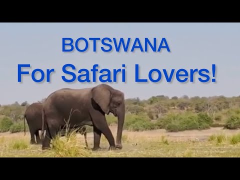 Discover Botswana’s Natural Safari Habitat