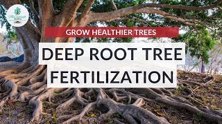 Deep Root Fertilization for Trees | The SECRET to Making Your Trees THICKER