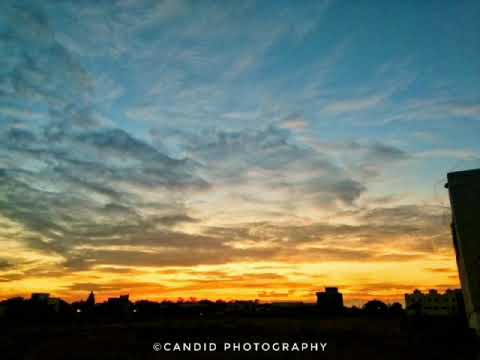 #Sunset #Goodevening status for Whatsapp| Evening Scene | Sunset