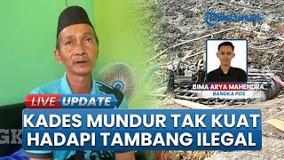 Kades Jada Bahrin Mundur, Tolak Legalkan Tambang di Hutan Desa Bangka: Tak Sanggup Hadapi Polemik
