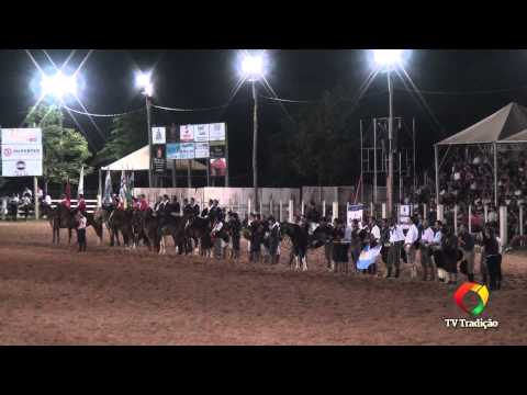 20º Rodeio do Conesul - Gineteada Abertura de Domingo