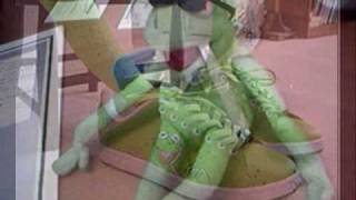 los lagartos tienes almorranas