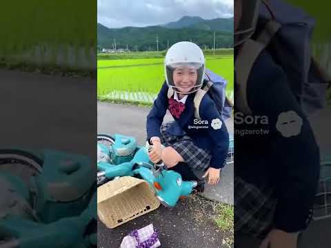 女子高生がスーパーカブで田んぼに転倒する