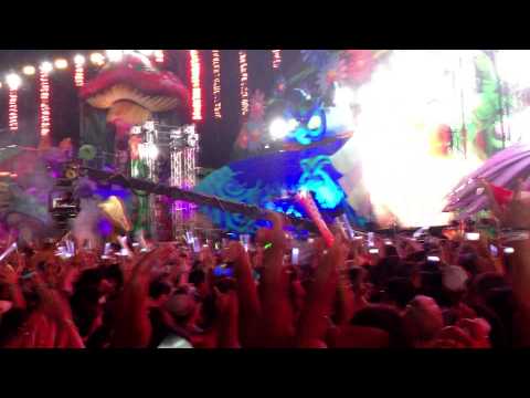 Calvin Harris   Mic  Wheres your head at - EDC 2013 Las Vegas