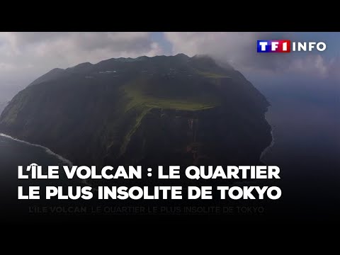 Direction l'île volcan : le quartier le plus insolite de Tokyo
