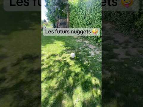 #potager #jardin #astuce #naturelovers