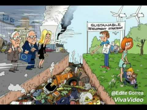 EF CHALLENGE 2018 | Caroline Correa - Sustainable Development