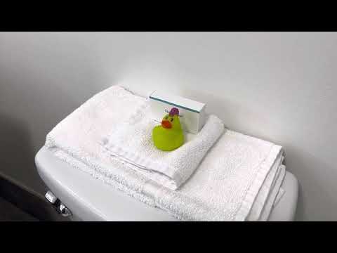 Hampton Inn Duck Bathroom