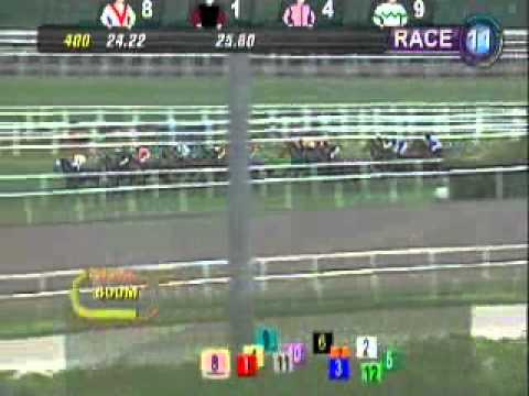 EATONS GOLD -Kranji  8th Jan 2012.wmv