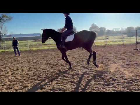 Gigi video 3