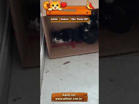 Vídeo de FOFINHOS