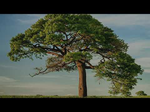 We Have This Ministry | Voices United 510