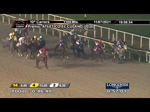 210711 c10 MARLON BRANDO