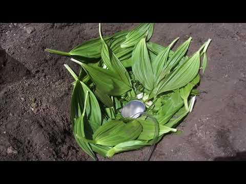 Basic Survival Training 5.21.2016