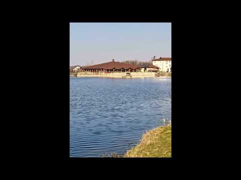 Lijek protiv bolesti grla sa promuklošću