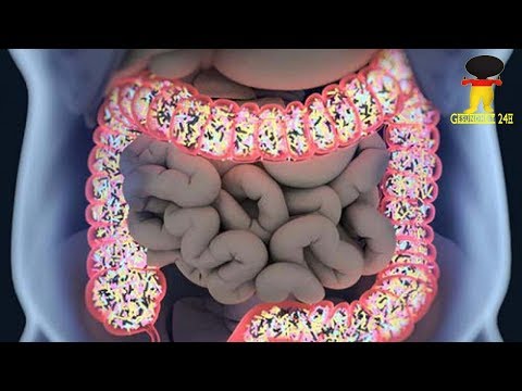 Prostatasekretkristallisations Kräuter für die Behandlung von Prostatitis