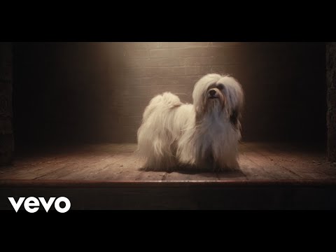 Marta Fernanda - Es Un Vagabundo (De "La Dama y el Vagabundo")